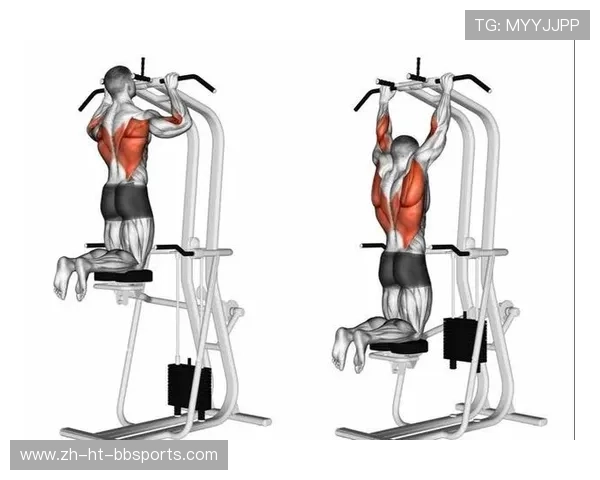 高拉力训练器的使用技巧与背部与肩部力量提升 高拉力训练器的使用技巧与背部与肩部力量提升